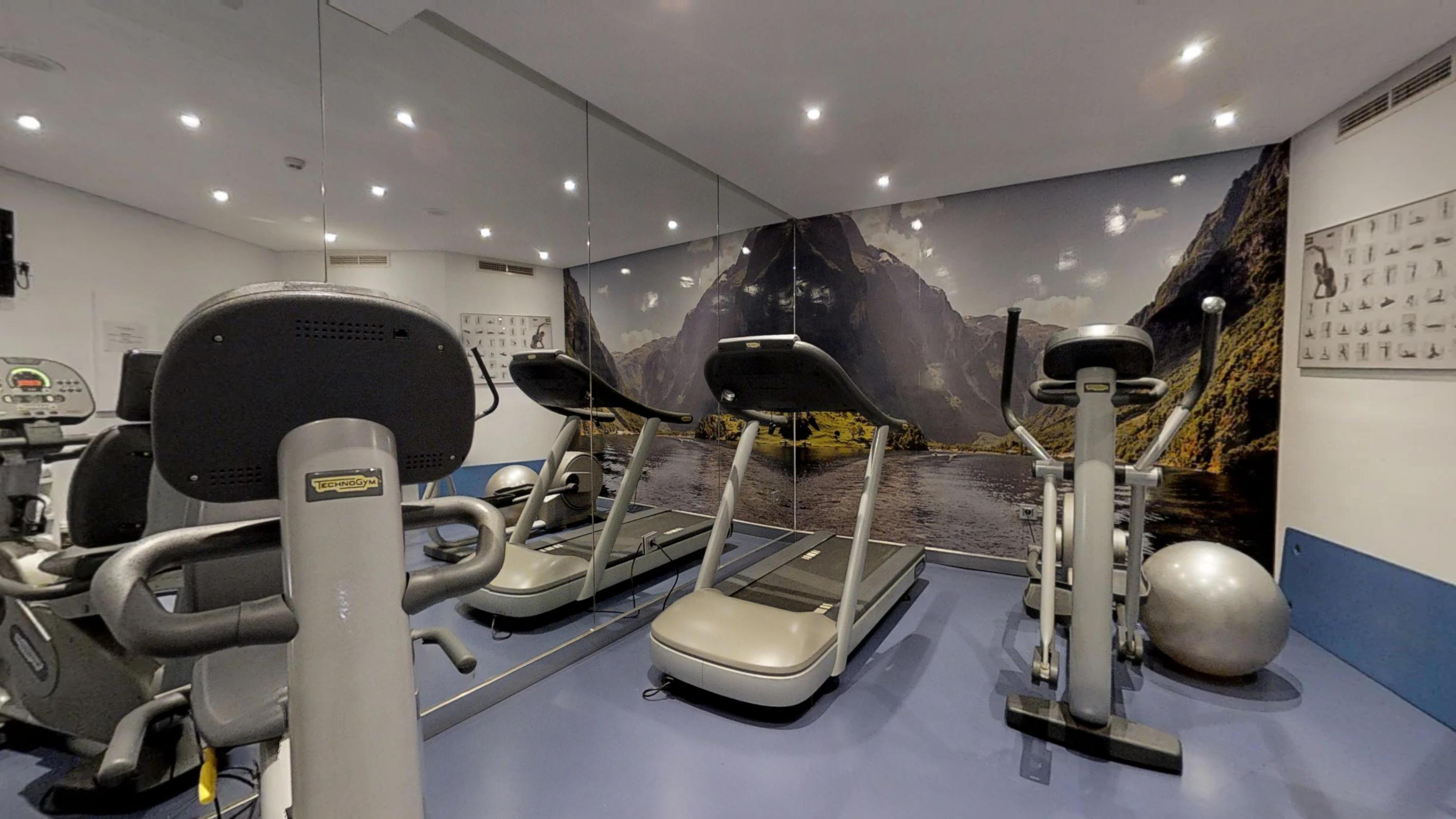 فندق بوتيك وسبا فينسي سيليسيون أليسا بينالماذينا المظهر الخارجي الصورة The gym at the hotel